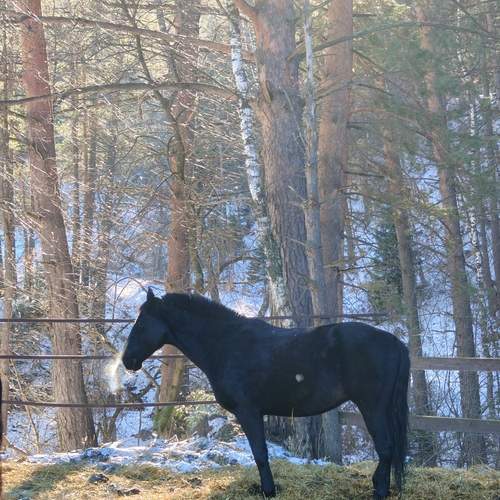 Photo #13051616