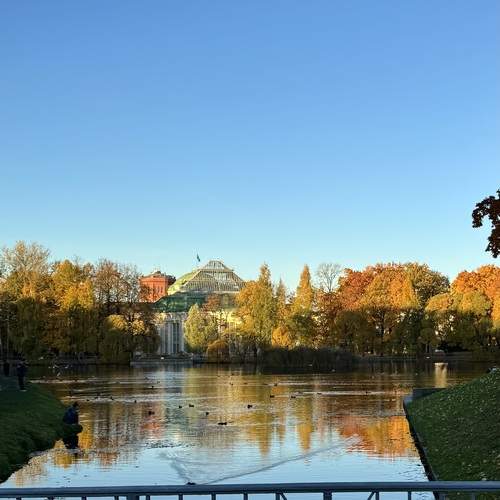 Photo #13051748