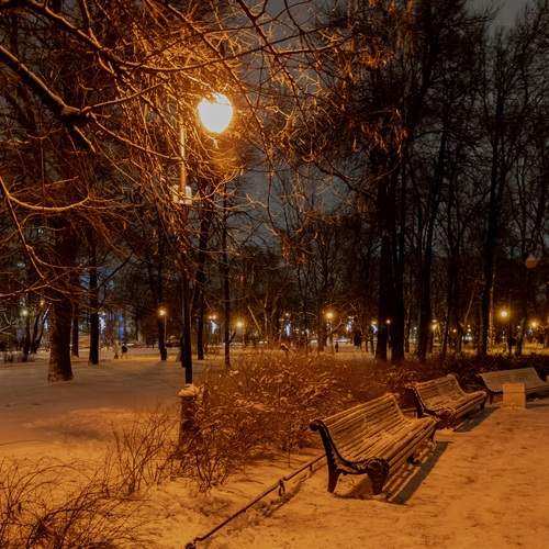 Photo #13051753