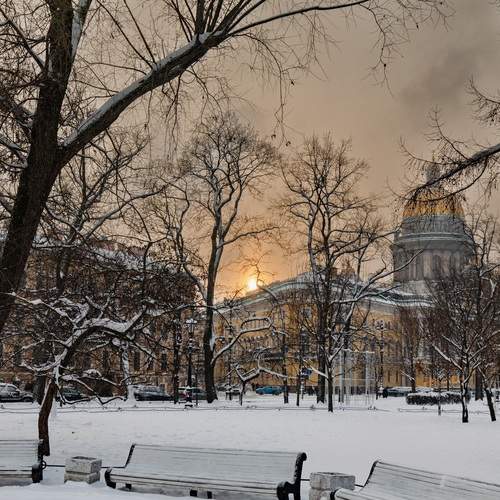 Photo #13051784