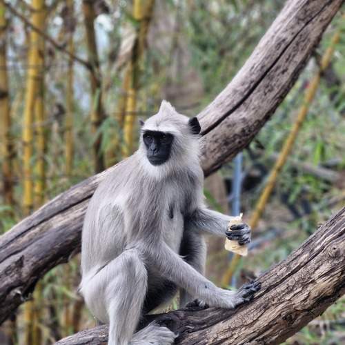 Photo #13051836