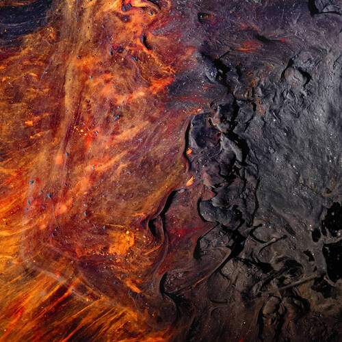 Photo #13051862