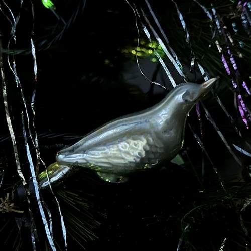 Photo #13052232