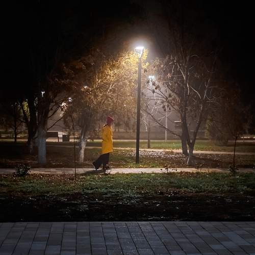 Photo #13052277