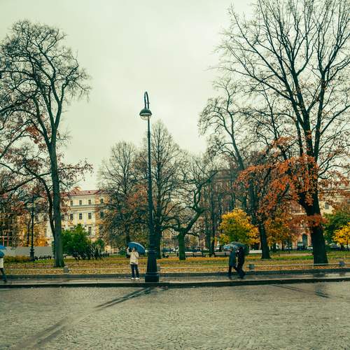 Photo #13052313