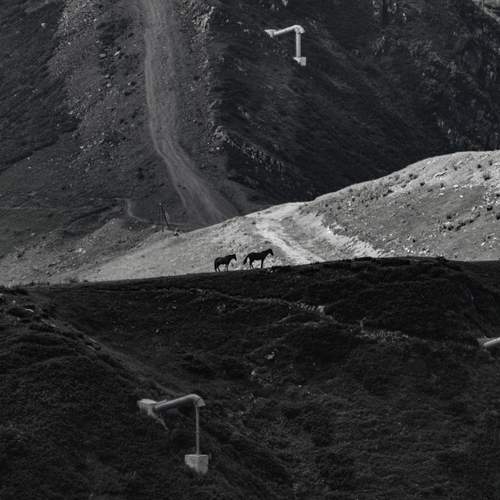 Photo #13052327