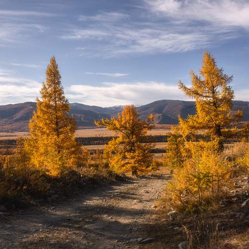 Photo #13052366
