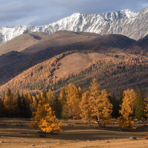 Photo #13052367