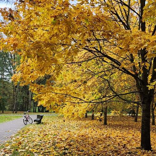 Photo #13052405