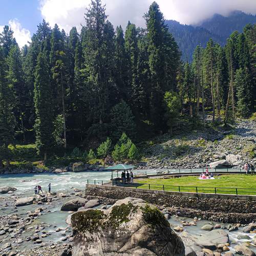 Photo #13052418