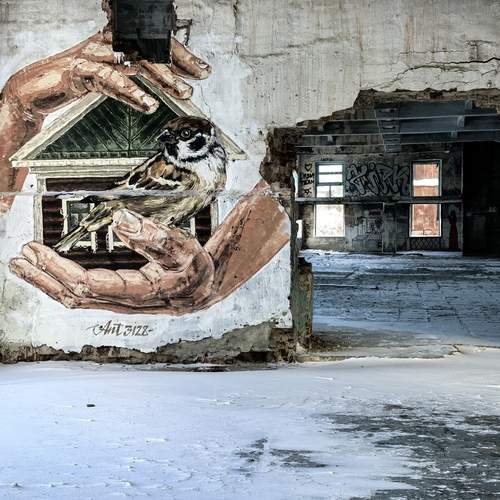 Photo #13052476