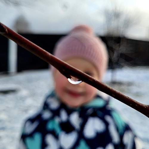 Photo #13052539