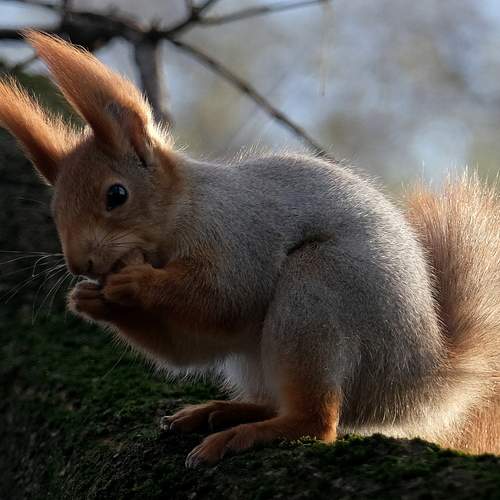 Photo #13052553