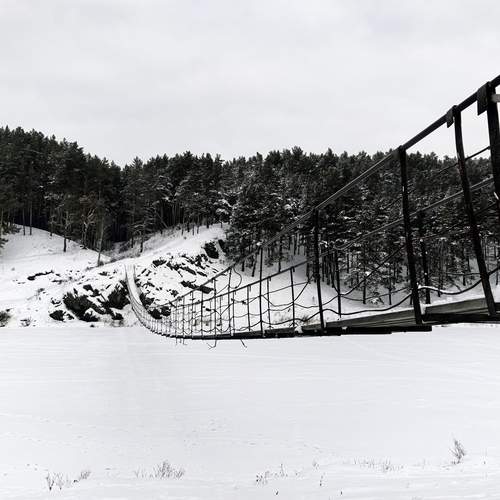 Photo #13052595
