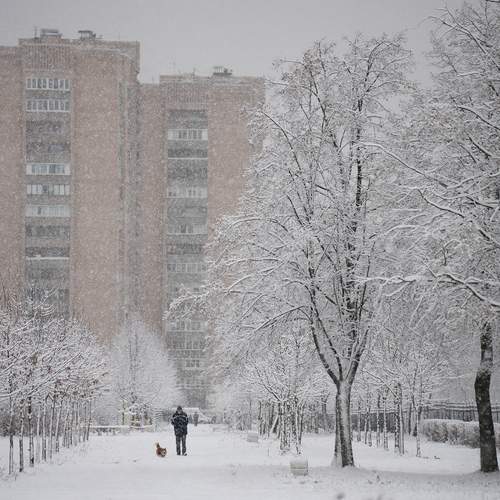 Photo #13052985