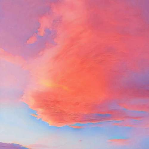 Photo #13053056