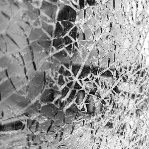 Photo #13053509