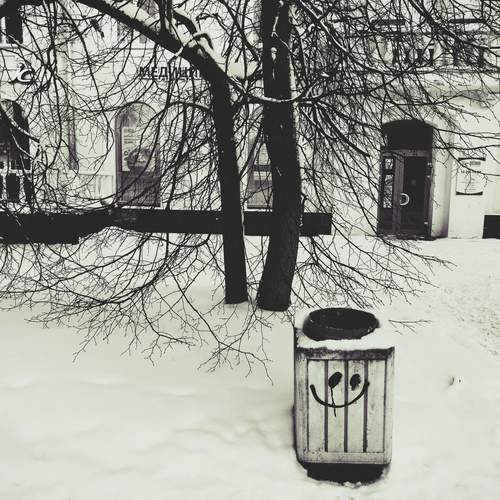 Photo #13053512