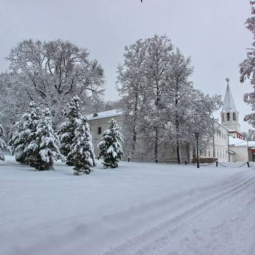 Photo #13053665