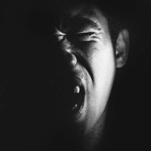Photo #13053718