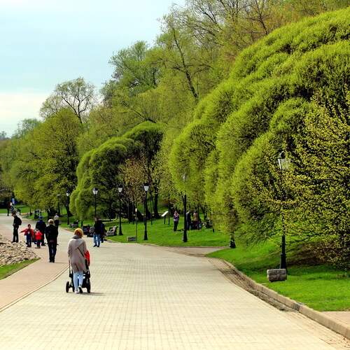 Photo #13053746