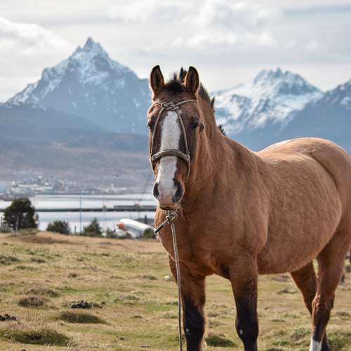 Photo #13053771