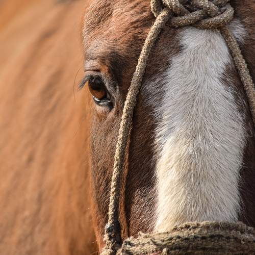 Photo #13053773