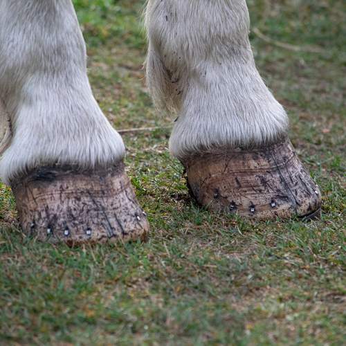 Photo #13053780
