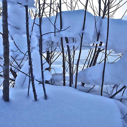 Photo #13053845