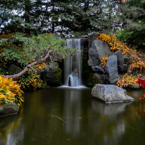 Фотография #13053934