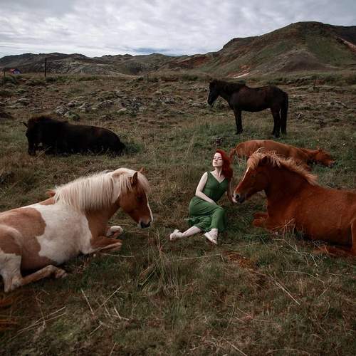 Фотография #13054092