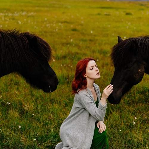 Фотография #13054098