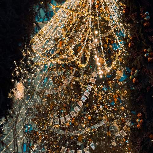 Photo #13054109