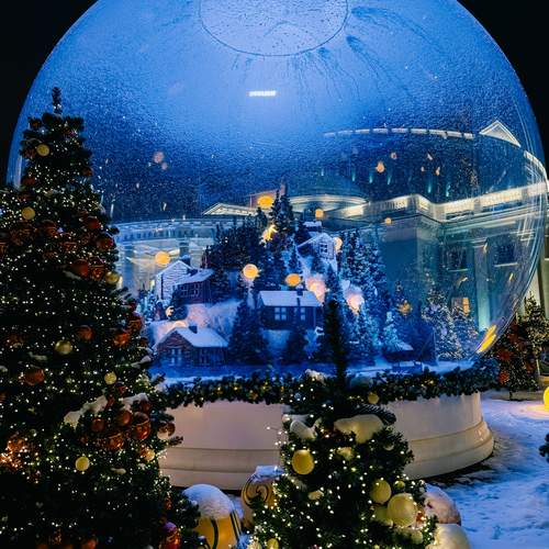 Photo #13054112