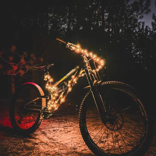 Photo #13054151