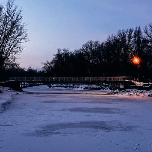 Photo #13054212