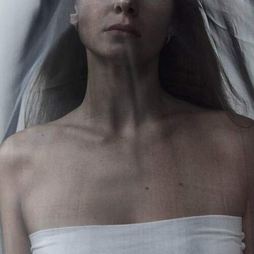 Photo #13054303