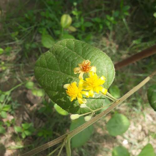 Photo #13054433