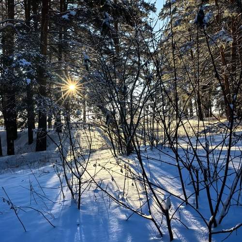 Photo #13054437