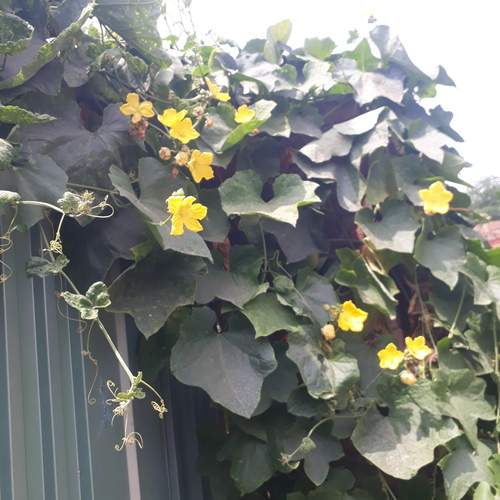 Photo #13054466