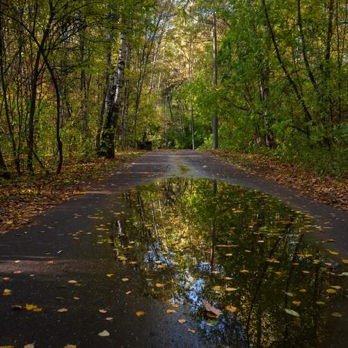 Фотография #13054484