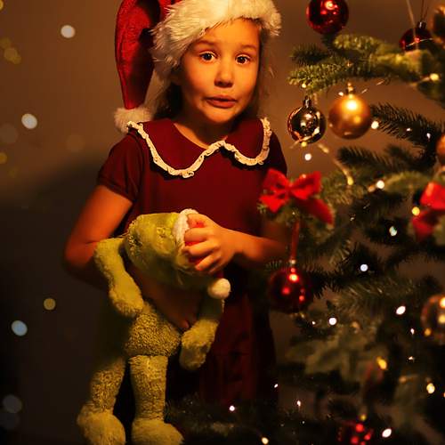 Photo #13054524