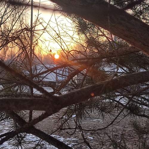 Photo #13054678