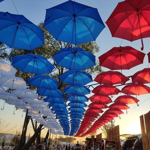 Photo #13054713