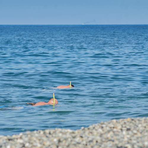 Photo #13054829