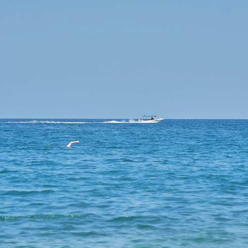 Photo #13054831
