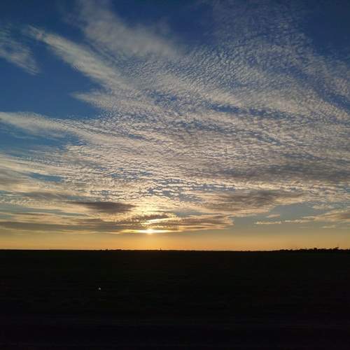 Photo #13054863