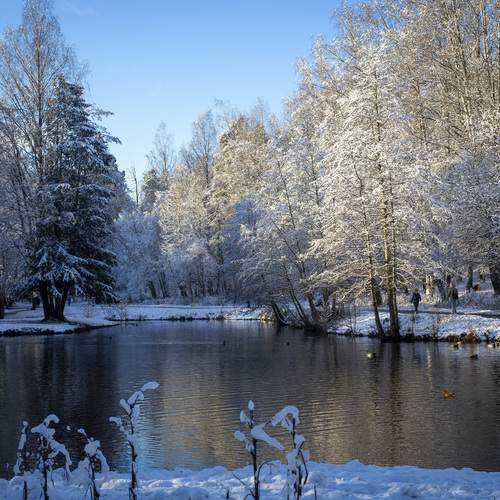 Photo #13054942