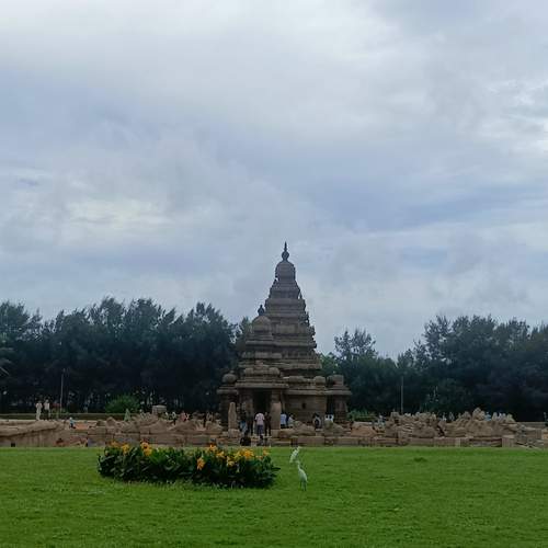 Photo #13055024
