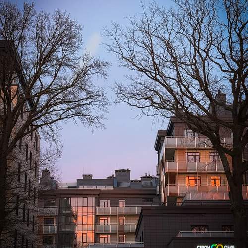 Photo #13055316